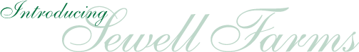 Introducing Sewell Farms